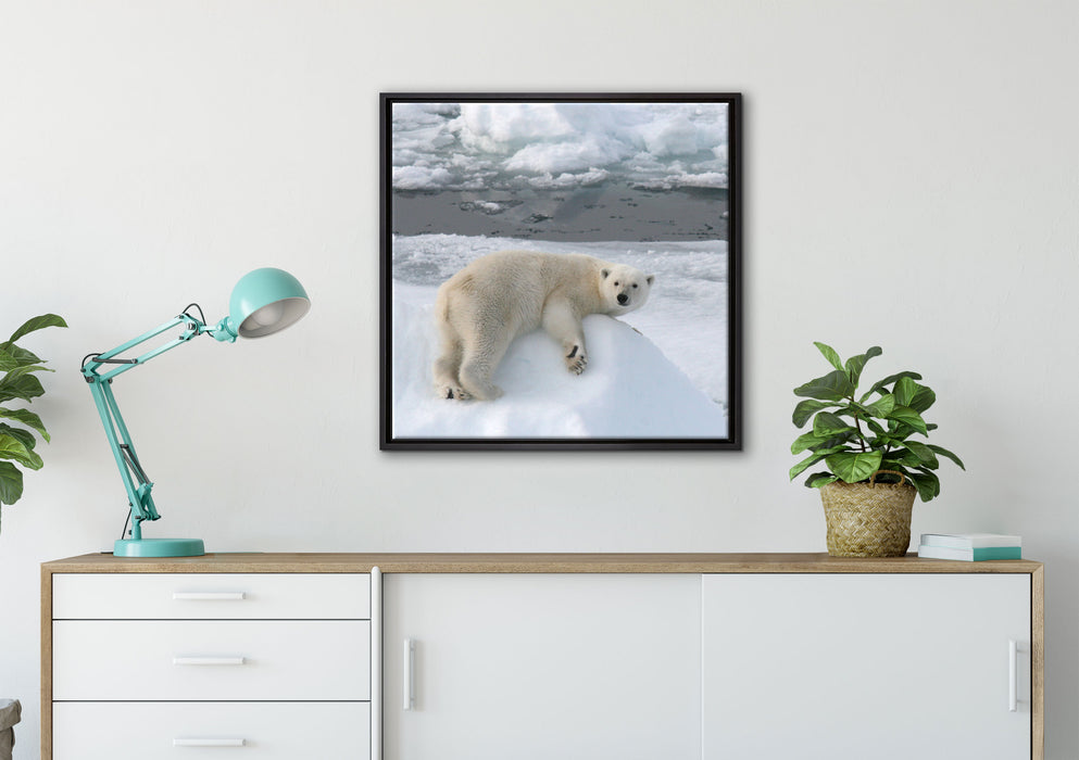 Eisbär auf Eisberg auf Leinwandbild gerahmt Quadratisch verschiedene Größen im Wohnzimmer