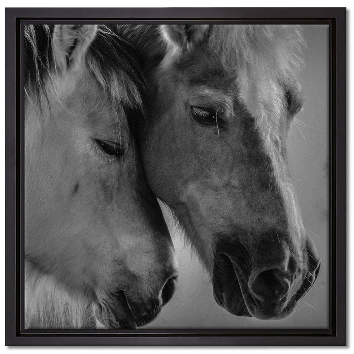 zwei liebevolle Pferde auf Leinwandbild Quadratisch gerahmt Größe 40x40