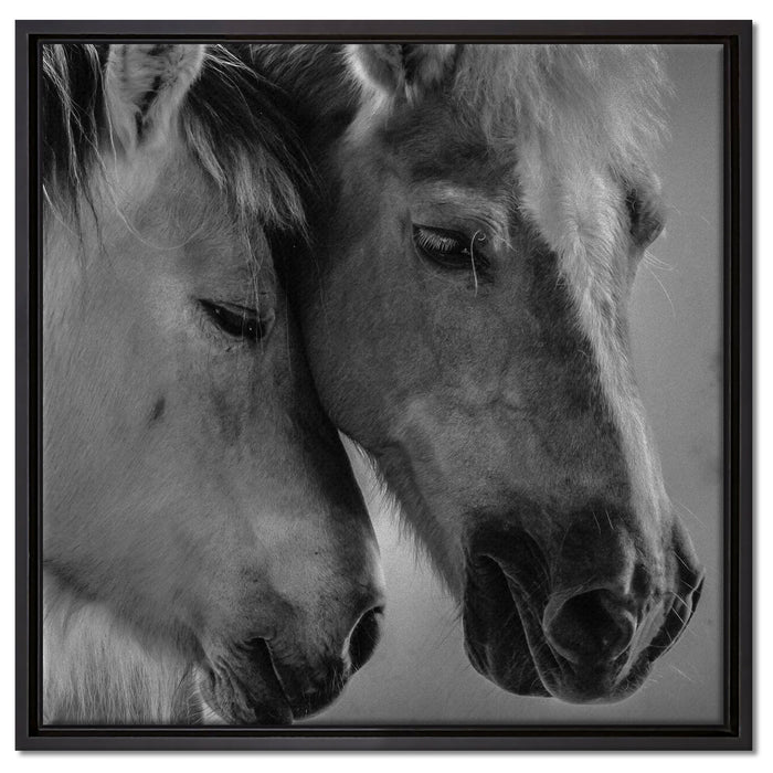 zwei liebevolle Pferde auf Leinwandbild Quadratisch gerahmt Größe 60x60