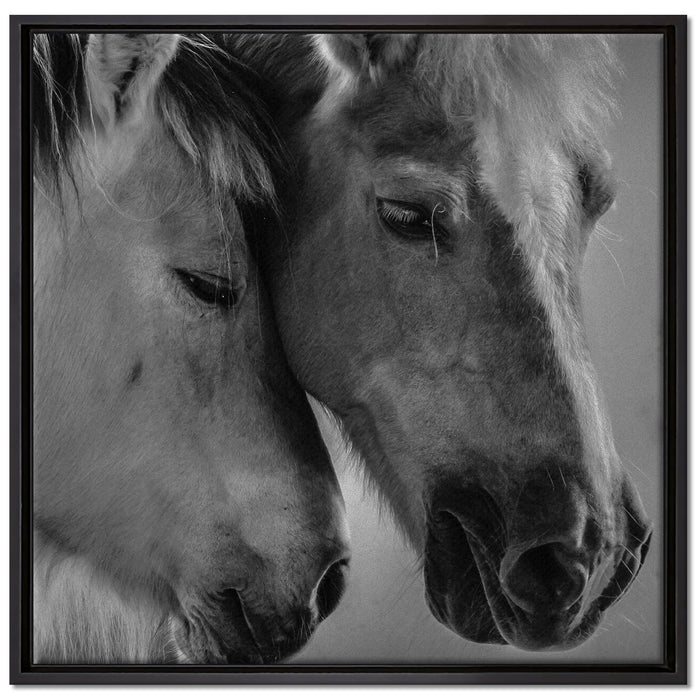 zwei liebevolle Pferde auf Leinwandbild Quadratisch gerahmt Größe 70x70