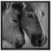 zwei liebevolle Pferde auf Leinwandbild Quadratisch gerahmt Größe 70x70