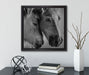 zwei liebevolle Pferde  auf Leinwandbild Quadratisch gerahmt mit Kirschblüten