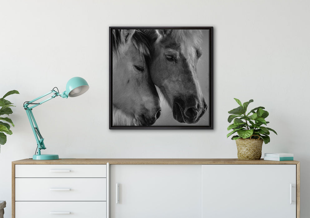 zwei liebevolle Pferde auf Leinwandbild gerahmt Quadratisch verschiedene Größen im Wohnzimmer