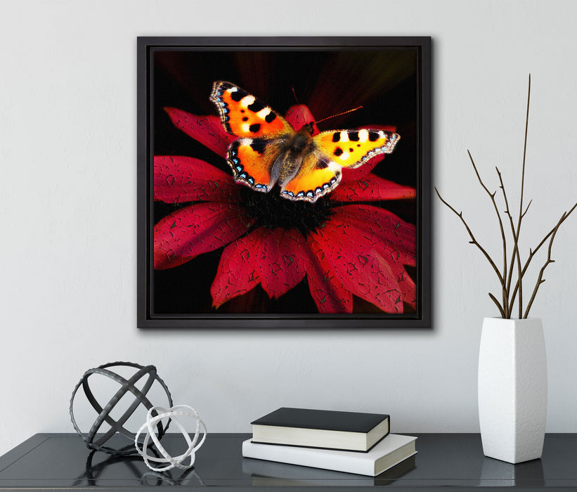 Schmetterling auf roter Blüte  auf Leinwandbild Quadratisch gerahmt mit Kirschblüten