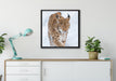 Luchs im Schnee auf Leinwandbild gerahmt Quadratisch verschiedene Größen im Wohnzimmer