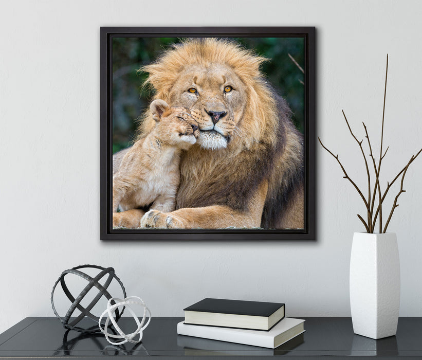 schöner Löwe mit Jungtier  auf Leinwandbild Quadratisch gerahmt mit Kirschblüten