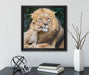 schöner Löwe mit Jungtier  auf Leinwandbild Quadratisch gerahmt mit Kirschblüten