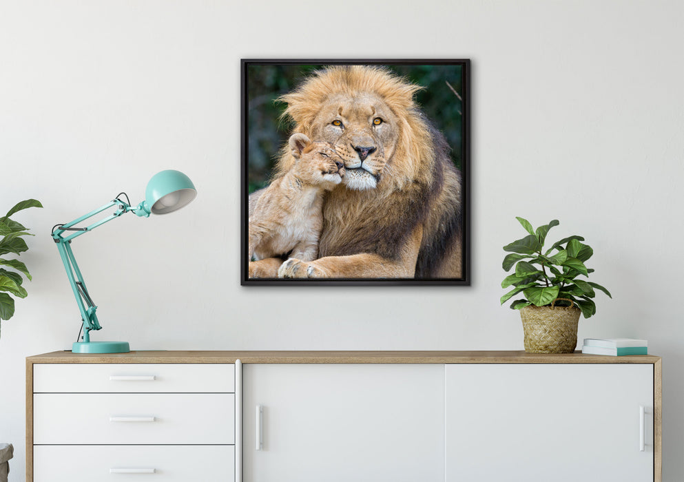 schöner Löwe mit Jungtier auf Leinwandbild gerahmt Quadratisch verschiedene Größen im Wohnzimmer