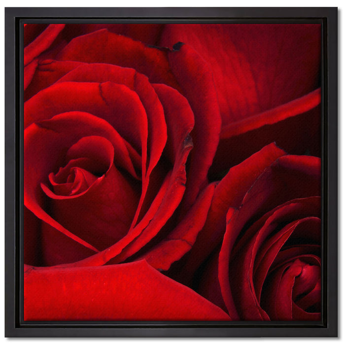 rote Rosen auf Leinwandbild Quadratisch gerahmt Größe 40x40