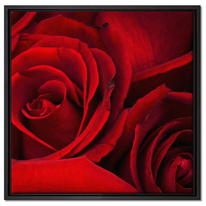 rote Rosen auf Leinwandbild Quadratisch gerahmt Größe 60x60
