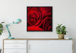 rote Rosen auf Leinwandbild gerahmt Quadratisch verschiedene Größen im Wohnzimmer