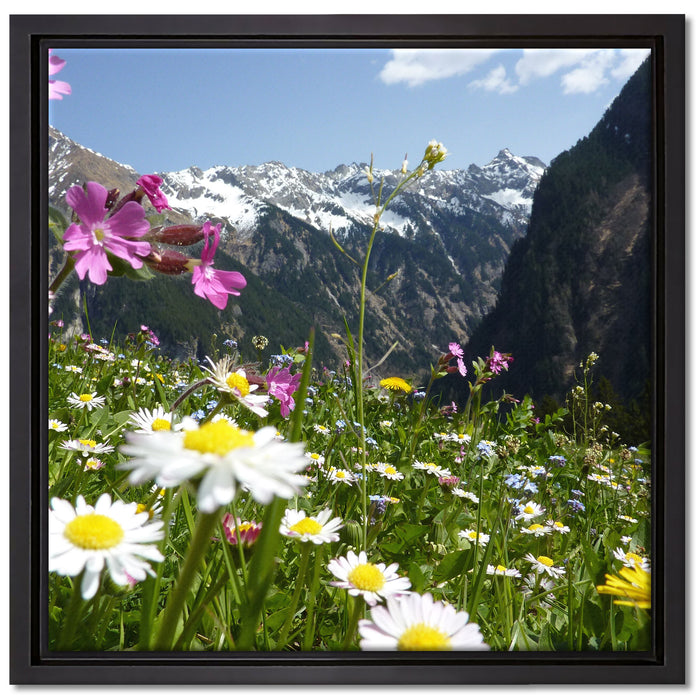 Wunderschöne Blumen Alpenwiese auf Leinwandbild Quadratisch gerahmt Größe 40x40