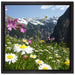 Wunderschöne Blumen Alpenwiese auf Leinwandbild Quadratisch gerahmt Größe 40x40