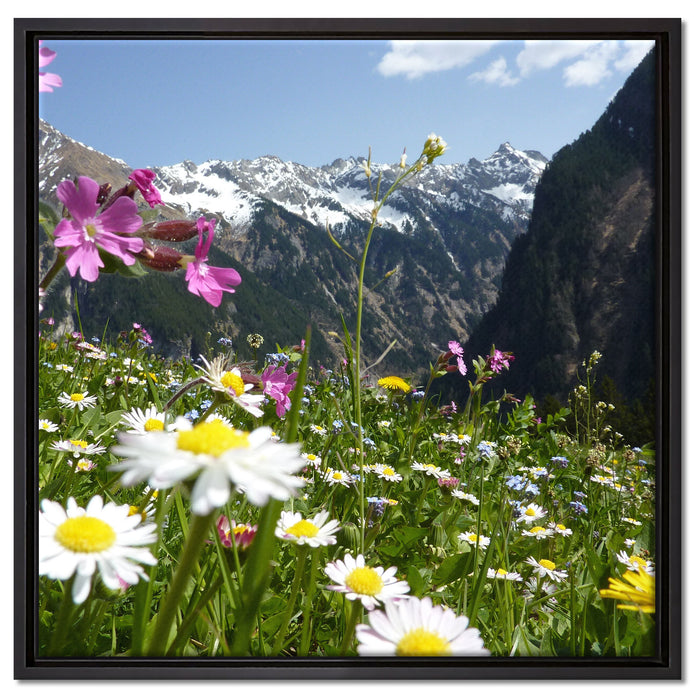 Wunderschöne Blumen Alpenwiese auf Leinwandbild Quadratisch gerahmt Größe 60x60