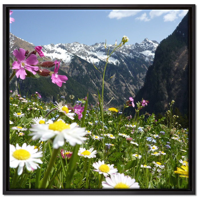 Wunderschöne Blumen Alpenwiese auf Leinwandbild Quadratisch gerahmt Größe 70x70
