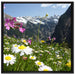 Wunderschöne Blumen Alpenwiese auf Leinwandbild Quadratisch gerahmt Größe 70x70