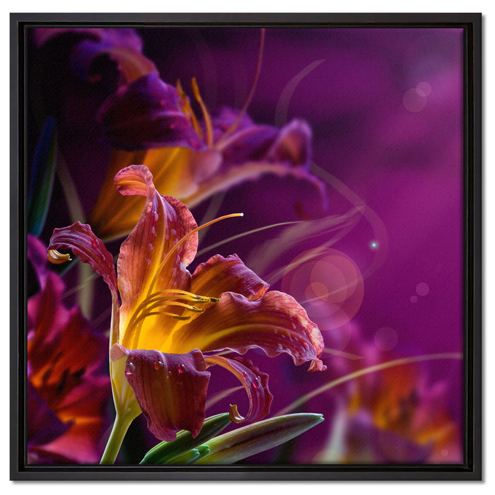 Lilie mit Wassertropfen auf Leinwandbild Quadratisch gerahmt Größe 60x60