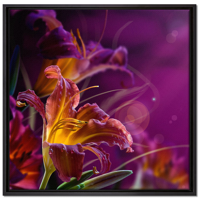 Lilie mit Wassertropfen auf Leinwandbild Quadratisch gerahmt Größe 70x70