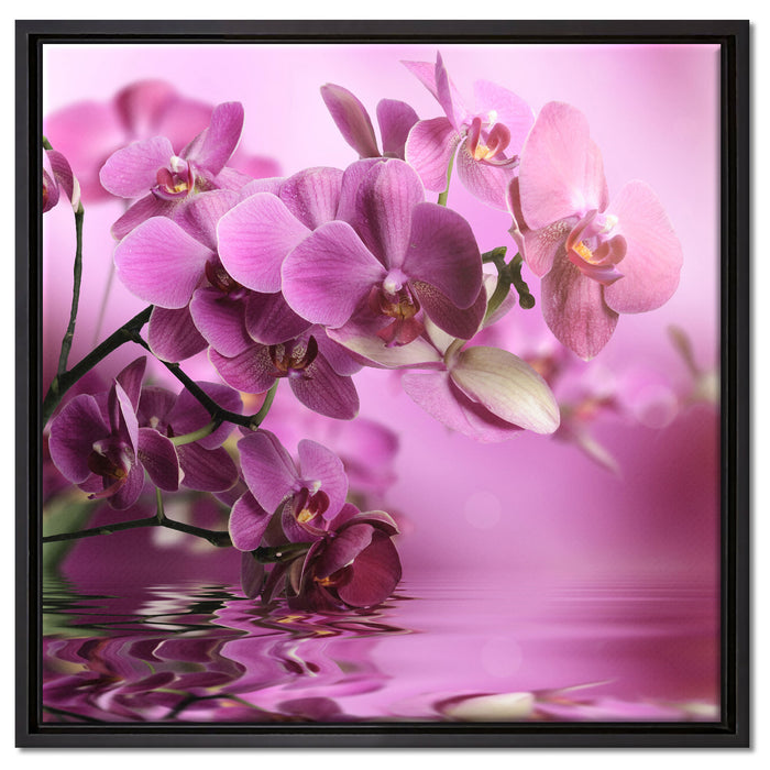 Wunderschöne Orchideenblüten auf Leinwandbild Quadratisch gerahmt Größe 60x60