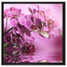 Wunderschöne Orchideenblüten auf Leinwandbild Quadratisch gerahmt Größe 60x60