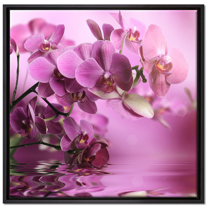 Wunderschöne Orchideenblüten auf Leinwandbild Quadratisch gerahmt Größe 70x70