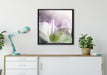 Sanfte Weiße Lilie auf Leinwandbild gerahmt Quadratisch verschiedene Größen im Wohnzimmer