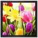 Osterglocken und Tulpen auf Leinwandbild Quadratisch gerahmt Größe 40x40