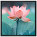Zarte rosafarbener Lotus auf Leinwandbild Quadratisch gerahmt Größe 70x70
