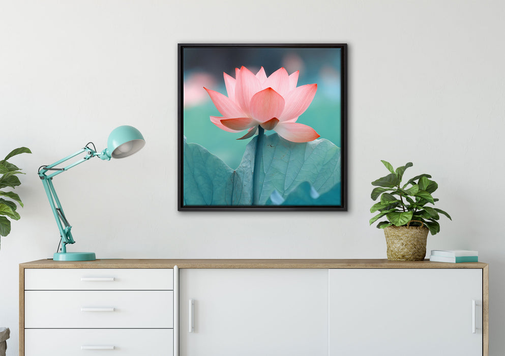 Zarte rosafarbener Lotus auf Leinwandbild gerahmt Quadratisch verschiedene Größen im Wohnzimmer