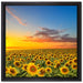 Sonnenuntergang Sonnenblumen auf Leinwandbild Quadratisch gerahmt Größe 40x40