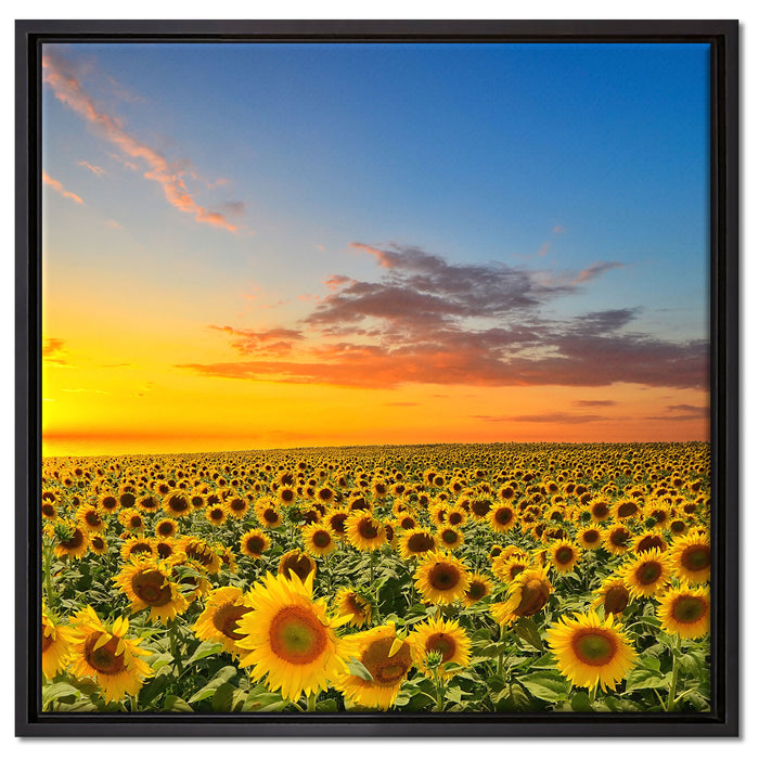 Sonnenuntergang Sonnenblumen auf Leinwandbild Quadratisch gerahmt Größe 60x60