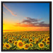 Sonnenuntergang Sonnenblumen auf Leinwandbild Quadratisch gerahmt Größe 60x60