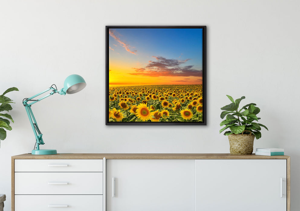 Sonnenuntergang Sonnenblumen auf Leinwandbild gerahmt Quadratisch verschiedene Größen im Wohnzimmer