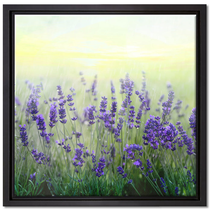Schöner Lavendel im Regen auf Leinwandbild Quadratisch gerahmt Größe 40x40