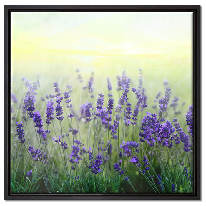 Schöner Lavendel im Regen auf Leinwandbild Quadratisch gerahmt Größe 60x60