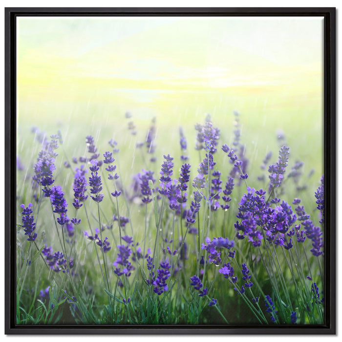 Schöner Lavendel im Regen auf Leinwandbild Quadratisch gerahmt Größe 70x70