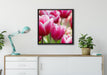 Tulpen mit Morgentau auf Leinwandbild gerahmt Quadratisch verschiedene Größen im Wohnzimmer
