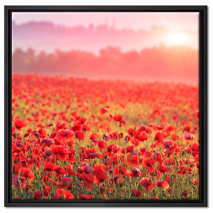 Mohnwiese im Sonnenschein auf Leinwandbild Quadratisch gerahmt Größe 60x60