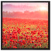 Mohnwiese im Sonnenschein auf Leinwandbild Quadratisch gerahmt Größe 70x70