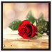 Rose auf Holztisch auf Leinwandbild Quadratisch gerahmt Größe 60x60