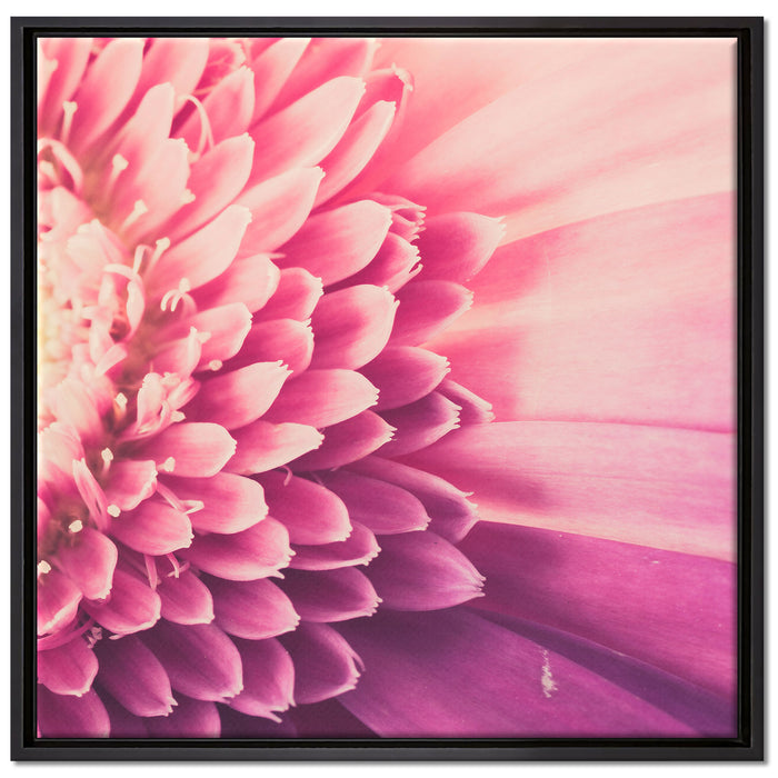 Wunderschöne Gerbera Blüte auf Leinwandbild Quadratisch gerahmt Größe 70x70