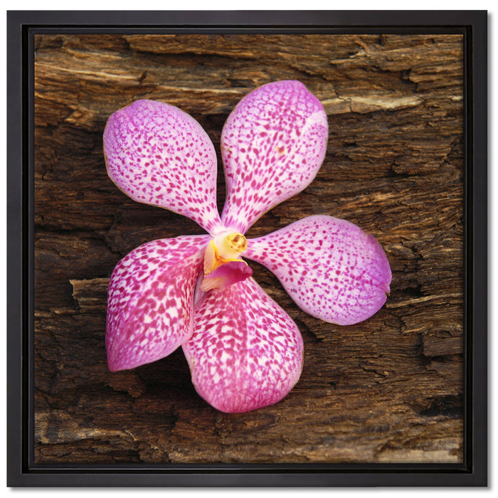 Orchidee Blüte auf Rinde auf Leinwandbild Quadratisch gerahmt Größe 40x40