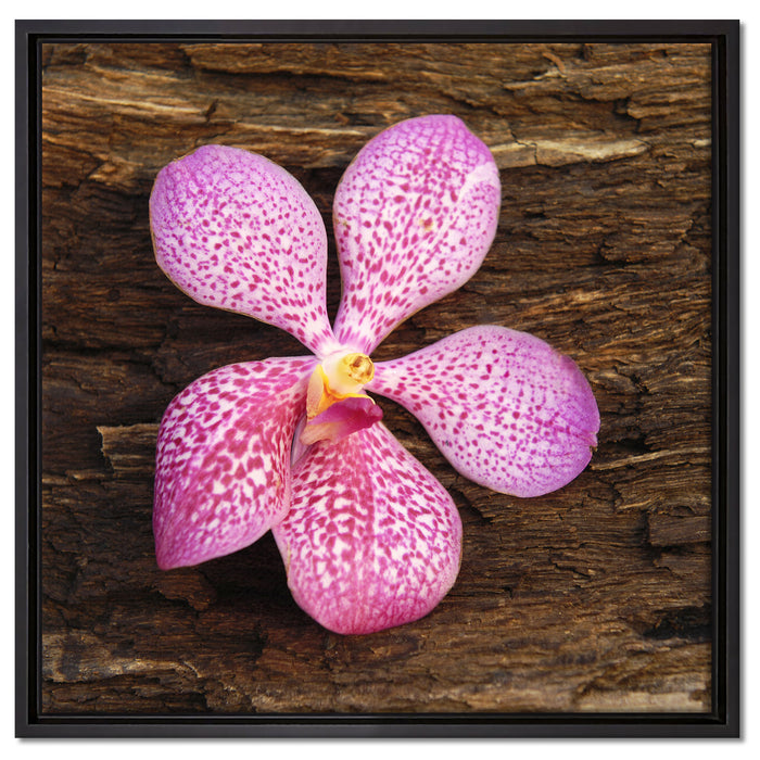 Orchidee Blüte auf Rinde auf Leinwandbild Quadratisch gerahmt Größe 60x60