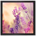 Eleganter Lavendel auf Leinwandbild Quadratisch gerahmt Größe 40x40