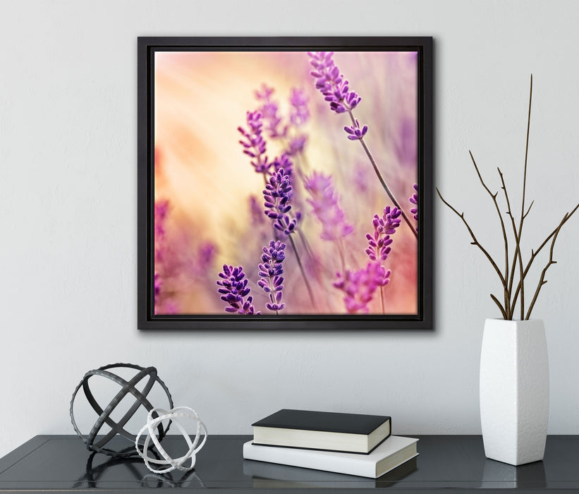 Eleganter Lavendel  auf Leinwandbild Quadratisch gerahmt mit Kirschblüten