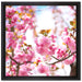 Schöne Kirschblüten auf Leinwandbild Quadratisch gerahmt Größe 40x40
