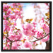 Schöne Kirschblüten auf Leinwandbild Quadratisch gerahmt Größe 60x60