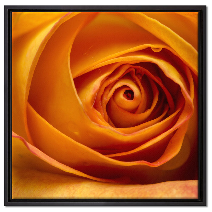 Anmutige gelbe geschlossene Rose auf Leinwandbild Quadratisch gerahmt Größe 60x60