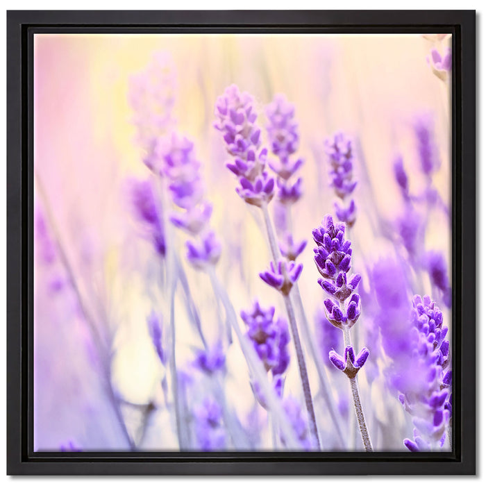 Lavendel im Retro Look auf Leinwandbild Quadratisch gerahmt Größe 40x40