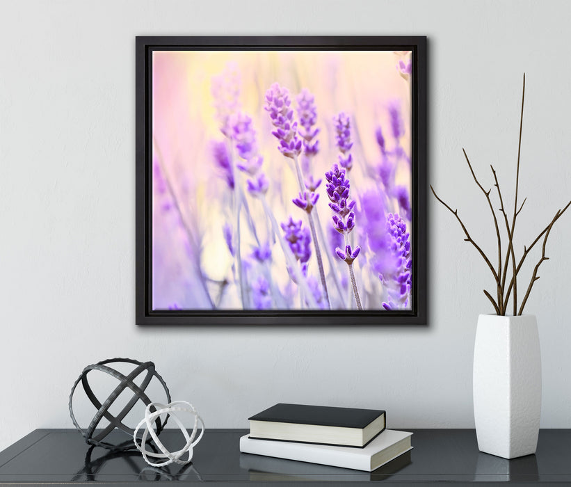 Lavendel im Retro Look  auf Leinwandbild Quadratisch gerahmt mit Kirschblüten